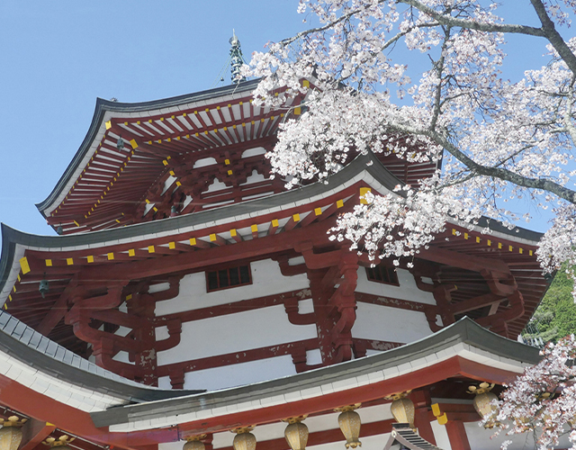 らくらくクラブバスツアーの京都エリア