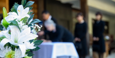 セレマが選ばれる 6つの理由